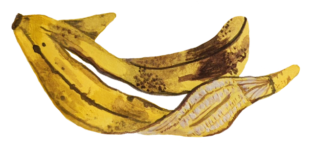 Cáscara de banana: Las bananas son una excelente fuente de calcio, magnesio, azufre, fosfatos, potasio y sodio. ¡El compostaje de cáscaras de banana agrega esos nutrientes a la tierra!