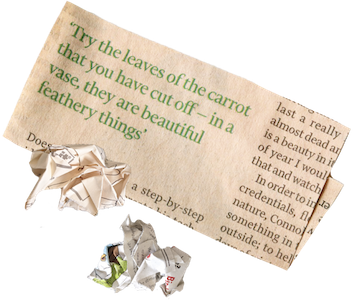 Newspaper: Still getting your news the old-fashioned way? Reduce your waste by going digital!